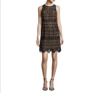 Shoshanna Black Lace Illusion Dress